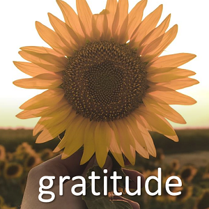 Gratitude