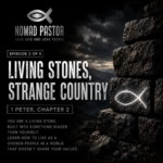 Living Stones, Strange Country